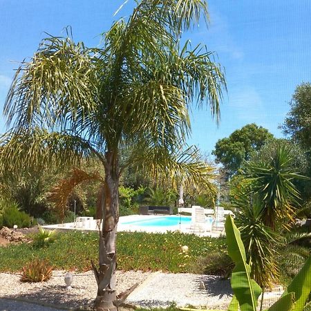 לינה וארוחת בוקר פלמלה Quinta Laranjal Da Arrabida מראה חיצוני תמונה