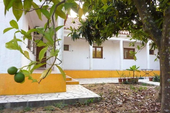 לינה וארוחת בוקר פלמלה Quinta Laranjal Da Arrabida מראה חיצוני תמונה
