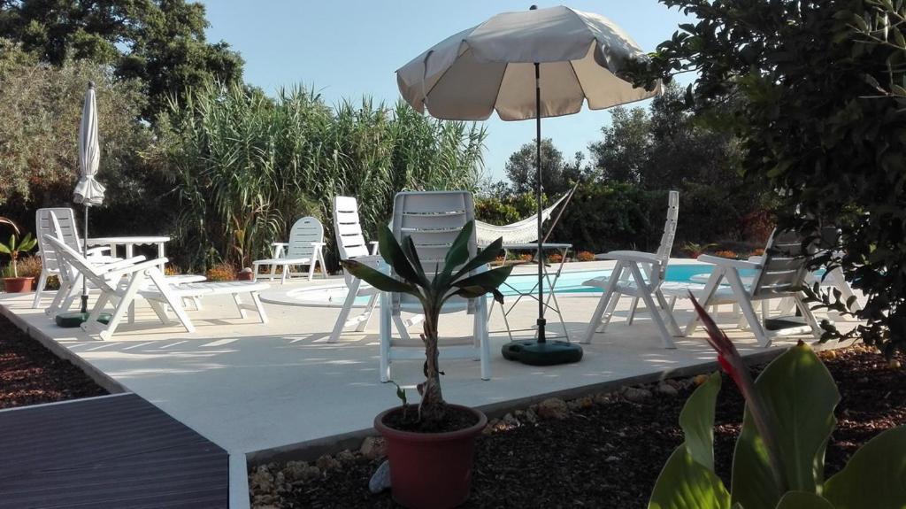 לינה וארוחת בוקר פלמלה Quinta Laranjal Da Arrabida מראה חיצוני תמונה