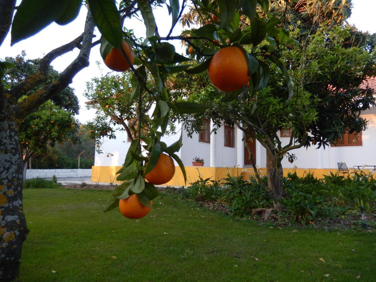 לינה וארוחת בוקר פלמלה Quinta Laranjal Da Arrabida מראה חיצוני תמונה