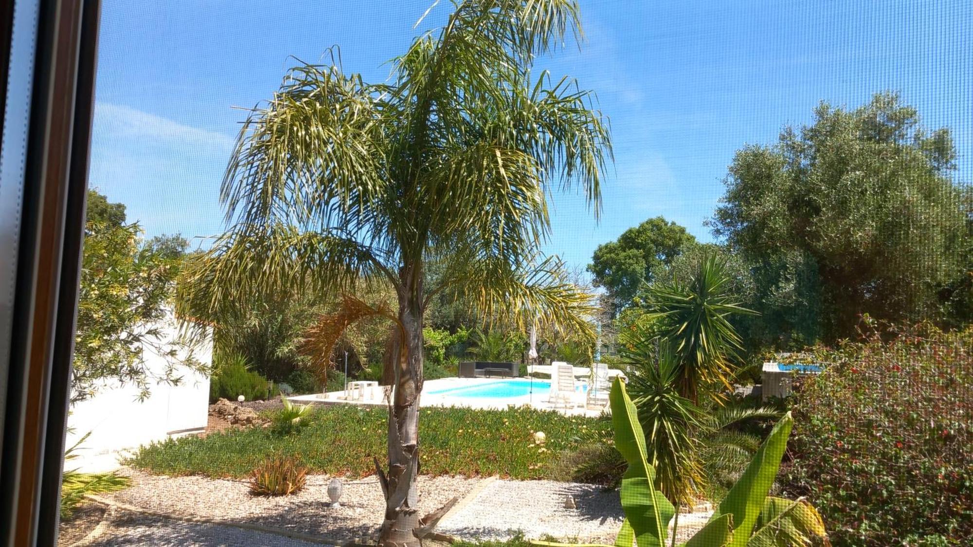 לינה וארוחת בוקר פלמלה Quinta Laranjal Da Arrabida מראה חיצוני תמונה